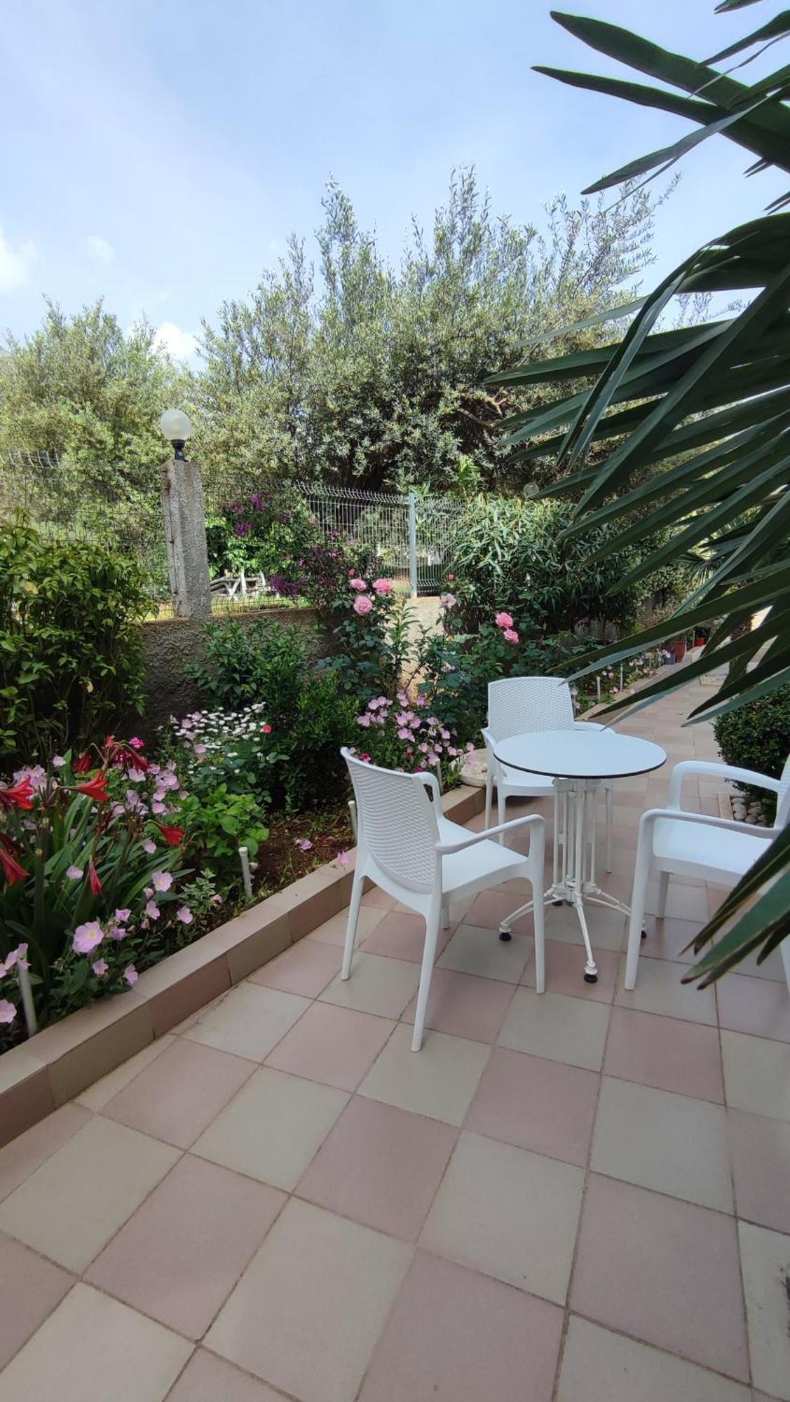 Olivio, Hotel Dhërmi